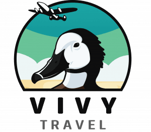 Vivy Travel