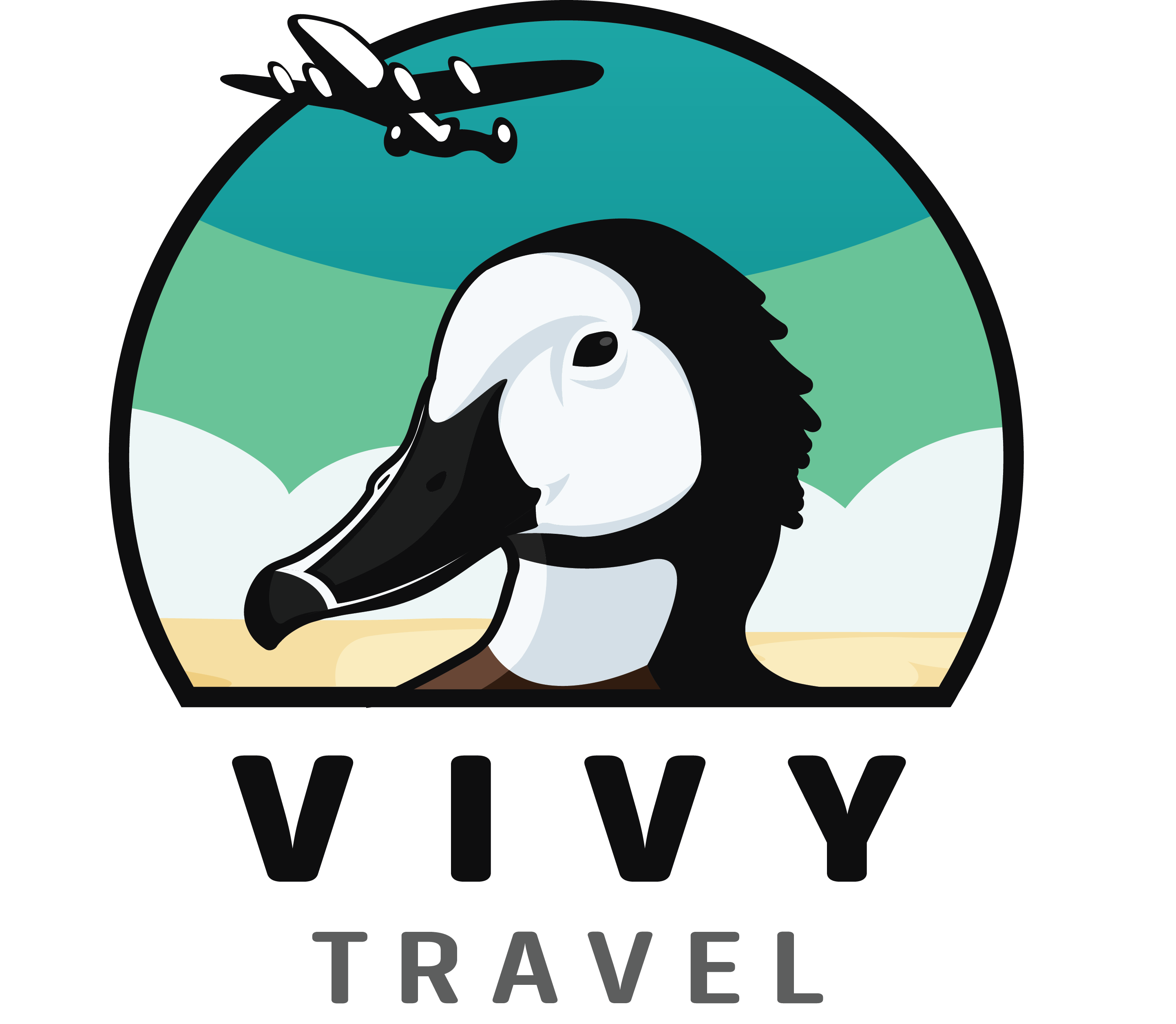 Vivy Travel terms and conditions