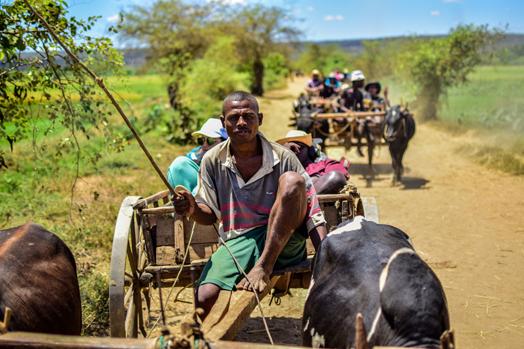 Discover madagascar through a luxurious tour