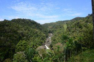 Ranomafana-Vivy-Travel