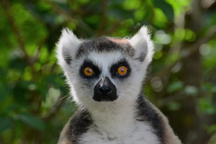 wilderness Madagascar