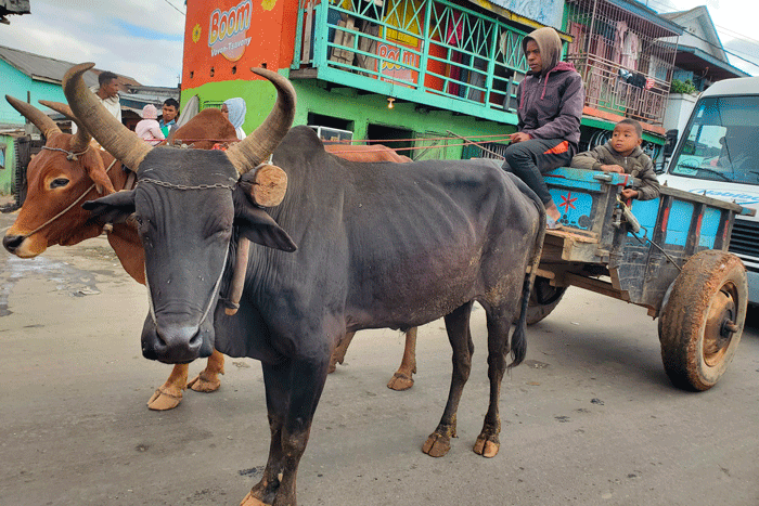 Antananarivo